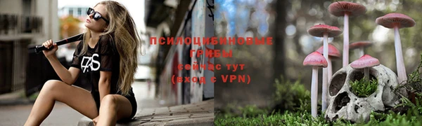 дживик Алзамай
