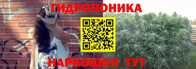 шишки Волжск