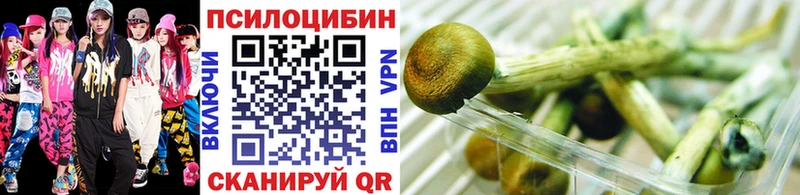 даркнет сайт  Сунжа  Галлюциногенные грибы мицелий 