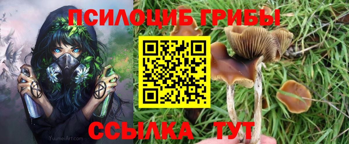 Галлюциногенные грибы мицелий Сунжа