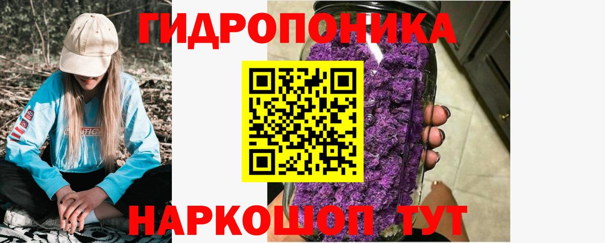 Канабис индика Сунжа